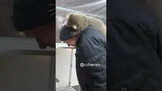 Happy raccoon in a petting zoo