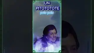 Un Pitototote