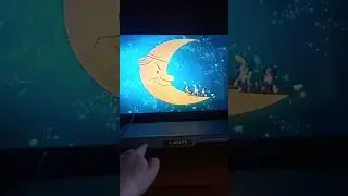 Смотрю DVD#2