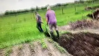 Підгортання вручну картоплі. Окучивання