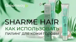 Как использовать пилинг для кожи головы Sharme Hair от Greenway Global