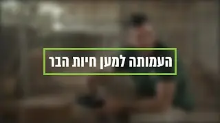 התנדבוטוב - חיות בר