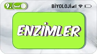 Enzimler  | Öğrenme Garantili Özet Anlatım  