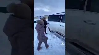Хаски Каскай уезжал домой из приюта «Щербинка» с большой радостью! Проект помощи живтным @sobakauzao