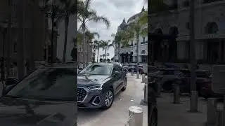 One Day in Monte-Carlo