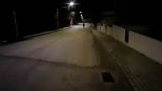 O cão ladra a Dona Deolinda   que vai com a cabeça fixa no  jogo de hóquei em patins com a Itália .