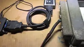 11 18 22 bench harness for cameron