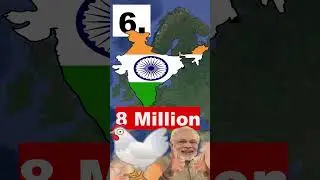 Countries with the Most Chicken  #shorts #geography #mapping #top10