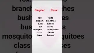 Singular And Plural #english #singular #englishgrammar #spokenenglish #shorts #ytshorts