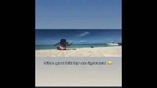 Ящерица с размером в дом укусила девку за палец