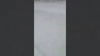 мы идем со школы с Алисой