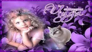 День ожидания чуда! 3 марта! Пусть мечты сбываются!