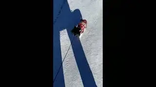 Попробовали минутку погулять с Семой в январе и вот что из этого получилось 🤦🏻‍♀️🌲☃️