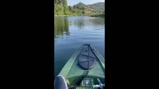 Kayaking on the South Umpqua