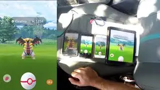 Fazendo Giratina sozinho com 4 contas