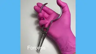 Rubber dam forceps