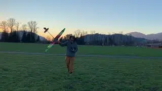 Armsoar BAMF2 Maiden Day DLG