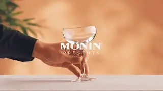 Le Mixeur de MONIN