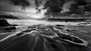 Van Did - ManFlip (Original Mix)