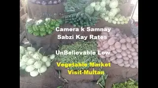 Sabzi Mandi |Vegetable Market| Rates in front of Camera