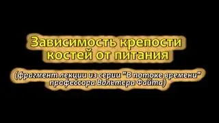 Питание и кости