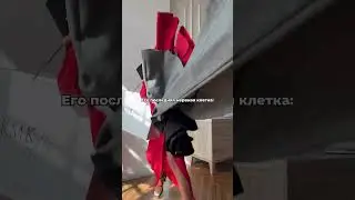 Было?😁 TG: KMK style🤍 #шопинг #одежда #стиль #образ