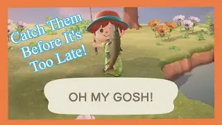 CATCH THESE CRITTERS BEFORE ITS TO LATE! Animal Crossing New Horizons (march)