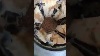 A1 Pest Control Canberra  02 12 2024 Four   Termite eating our bait
