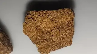 5-month old HASH😬( good or bad ) 2020 review
