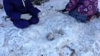 Надо оттопыривать!