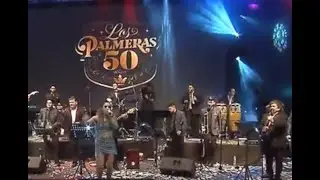 la suavecita con sole  y los palmeras