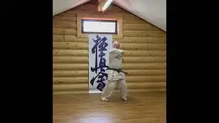 #hanshi #karate #yakunin #kyokushin #kyokushinkarate