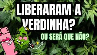 LIBEROU GERAL? NOVA LEI SOBRE CULTIVO EM PAUTA NO CONGRESSO?