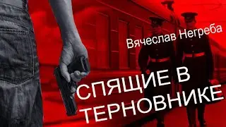 Спящие в терновнике