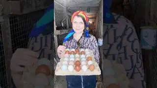 Всем доброго дня!