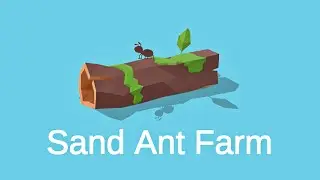 Sand Ant Farm
