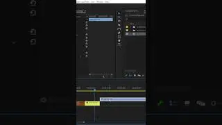 Quick Tips and Tricks in Premiere Pro 