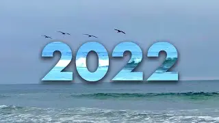 Chapter 1 | 2022