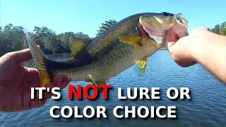 These Two Things Are Keeping You From Catching MORE Fish!!!!