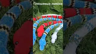 24 ноября 2021 г.