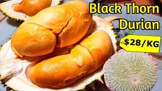 Most Expensive Black Thorn Durian at $28/KG - Ochee Durian
