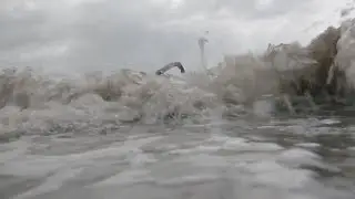 [TWD] The Wave