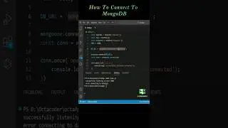 how to connect to mongodb database 