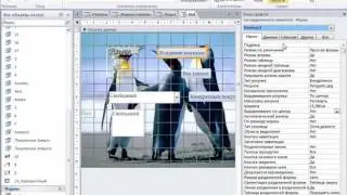 11.6.  Свойства формы Microsoft Access 2010.