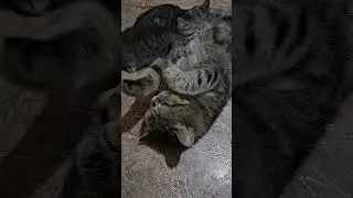 Если у Вас скучно, идите к нам 😉🫶