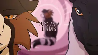 Pure as a lamb || PMV