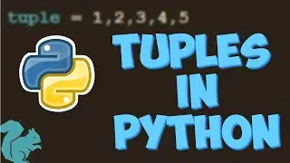 Tuples in Python | Python tutorial for beginners - ChipTalksComputers