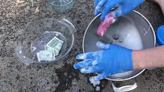 How to Clean Money - 4 Ways How to Wash Money - Coronovirus Covid 19 Tips