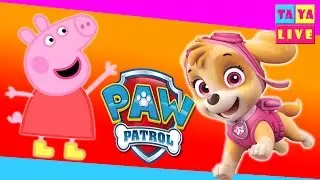 СЮРПРИЗЫ ИГРУШКИ под ёлкой. ЩЕНЯЧИЙ ПАТРУЛЬ, СВИНКА ПЕППА, КИНДЕР СЮРПРИЗ