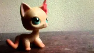 Hi